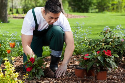 Seasonal lawn care services in Putney